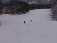 DSC00214 Skiing down